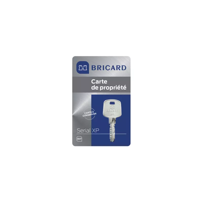 Bricard Serial XP cylinder