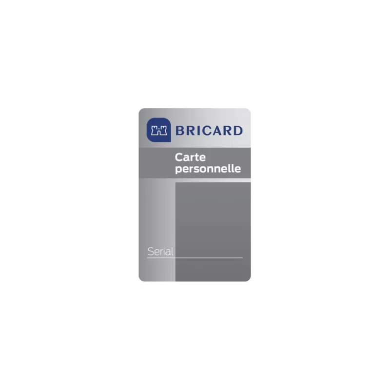 Cylindre Bricard Serial double entrée