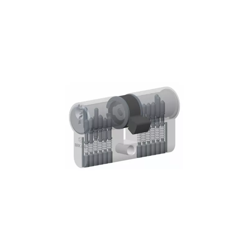 Cylindre Bricard Octal double entrées