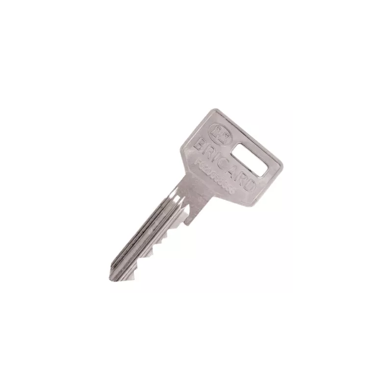 Cylindre Bricard Octal A2P1* pour serrure 8151 et 8121PMR