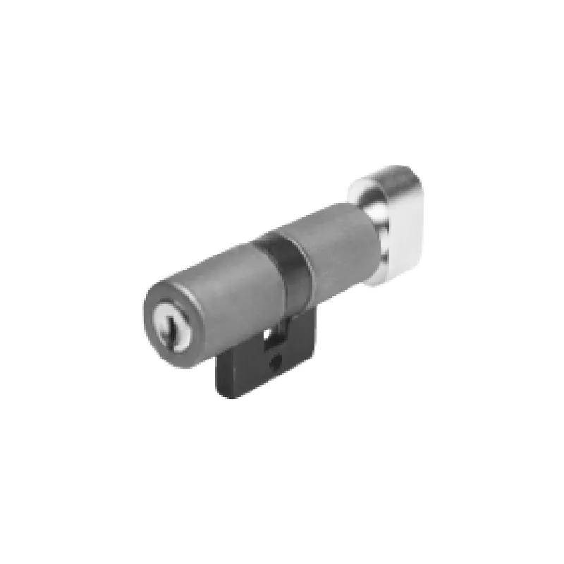 Cylindre monobloc Bricard Chifral S2 pour serrure Bricard 745