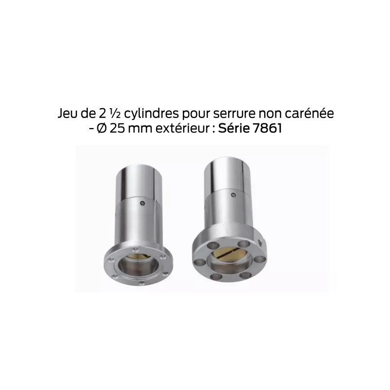 Bricard Chifral S2 cylinders for Vak lock