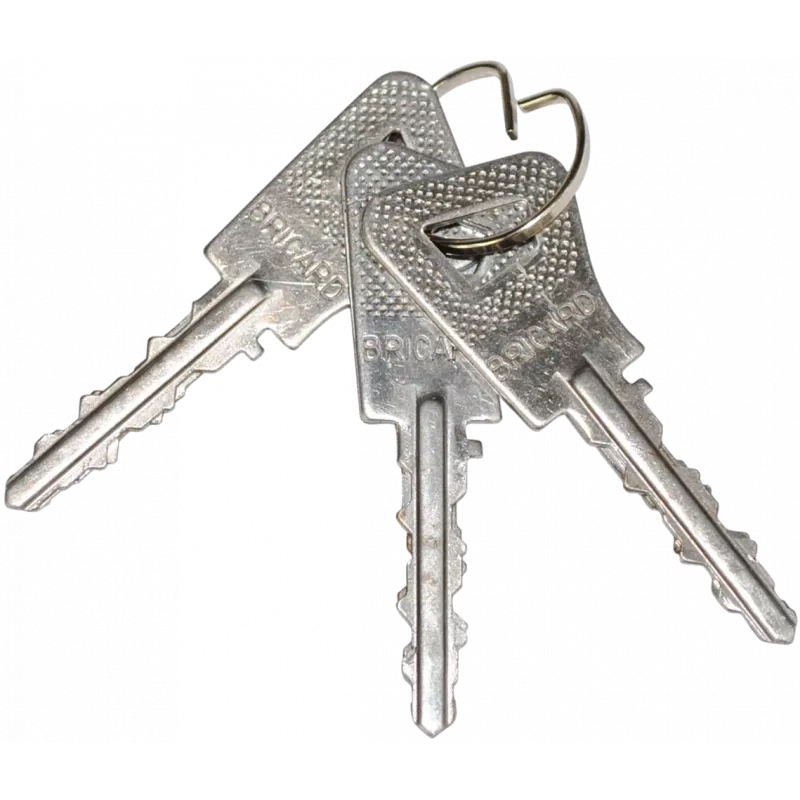 Bricard Bloctout lock cylinder