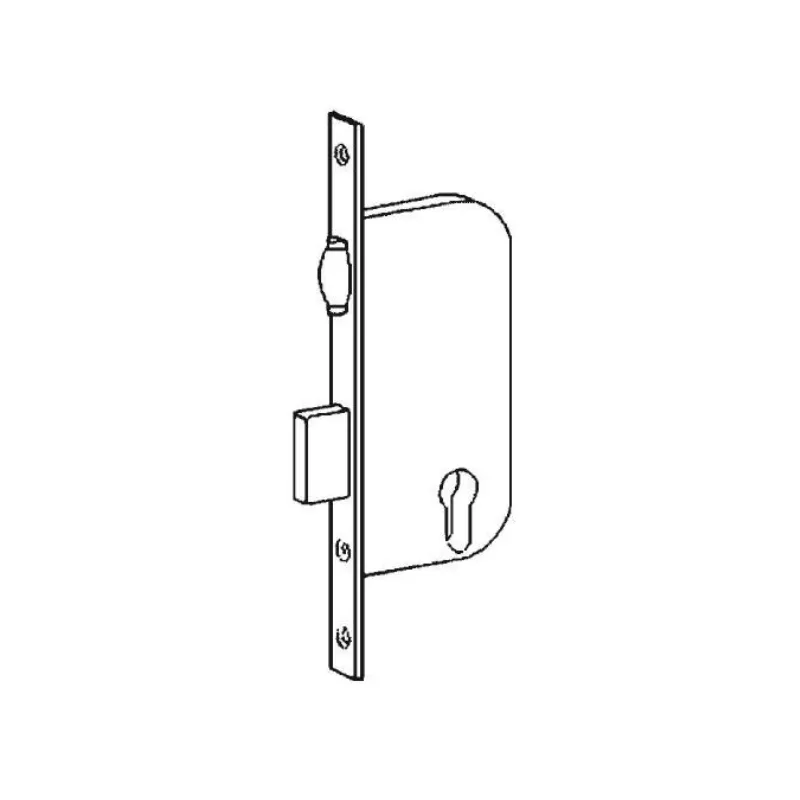 Bricard 750 lock with rolling bolt and european cylinder