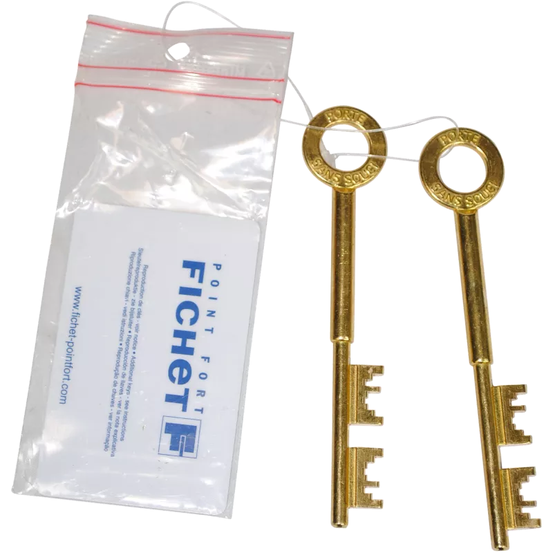 Surface mounted Fichet Sans Souci lock