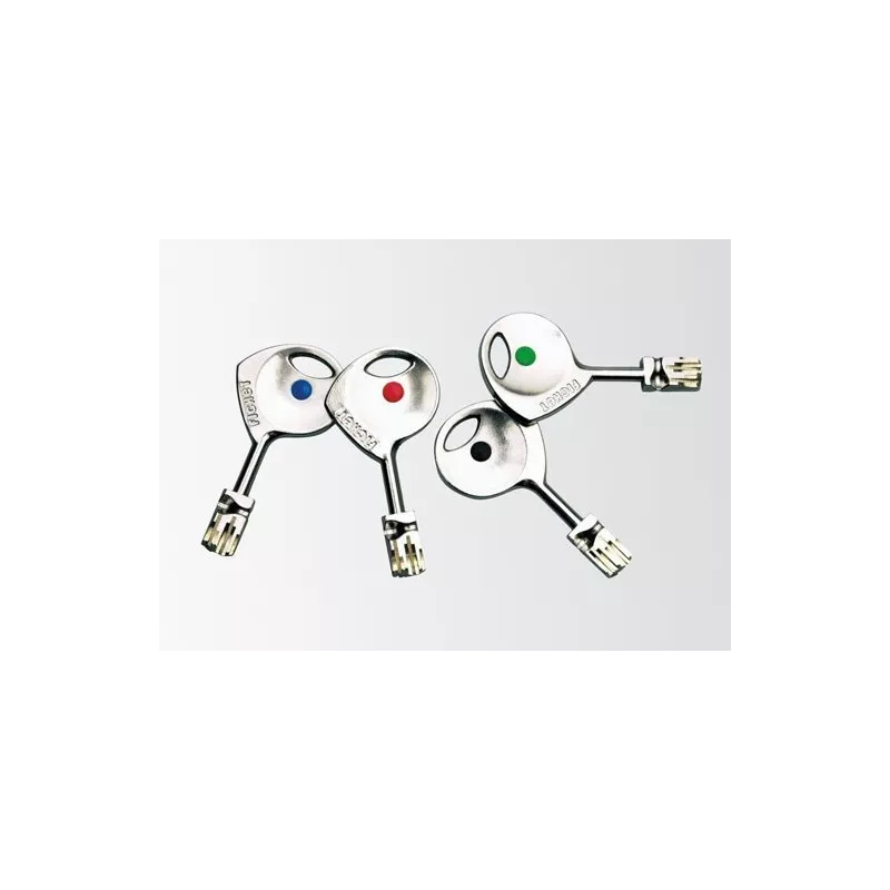 Fichet 787 Z Duplicate Key