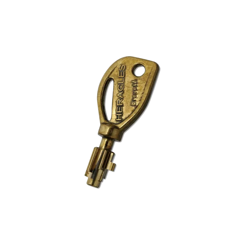 Heracles GMO5 Duplicate Key