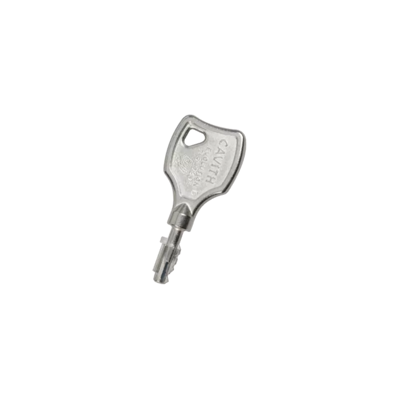 ISEO Cavith duplicate key