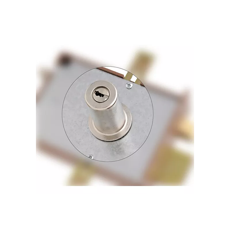 Serrure 3 points Héraclès MX1000 (adaptable serrure Bricard)