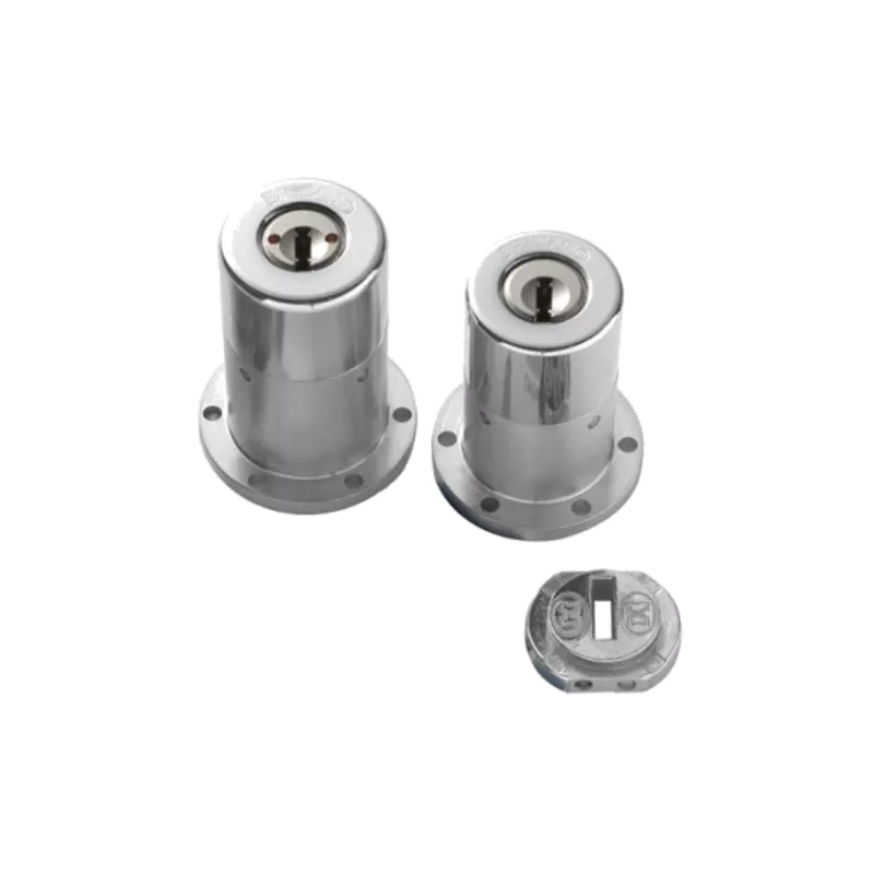 Bricard Chifral S2 cylinders for Vak lock