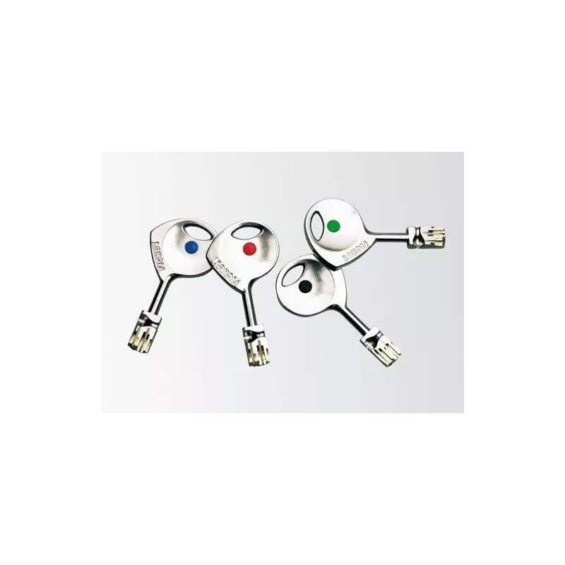 Fichet 787 Z A2P3 monobloc cylinder for forges P105 armored door