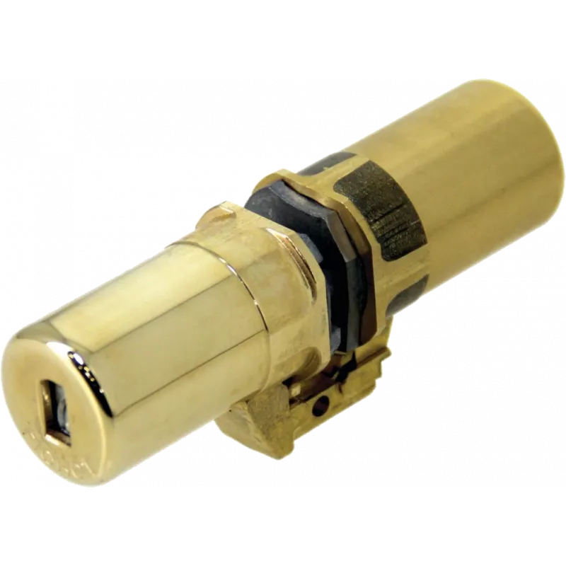 Fichet 787 Z monobloc cylinder for armored door Forges P102 and P101