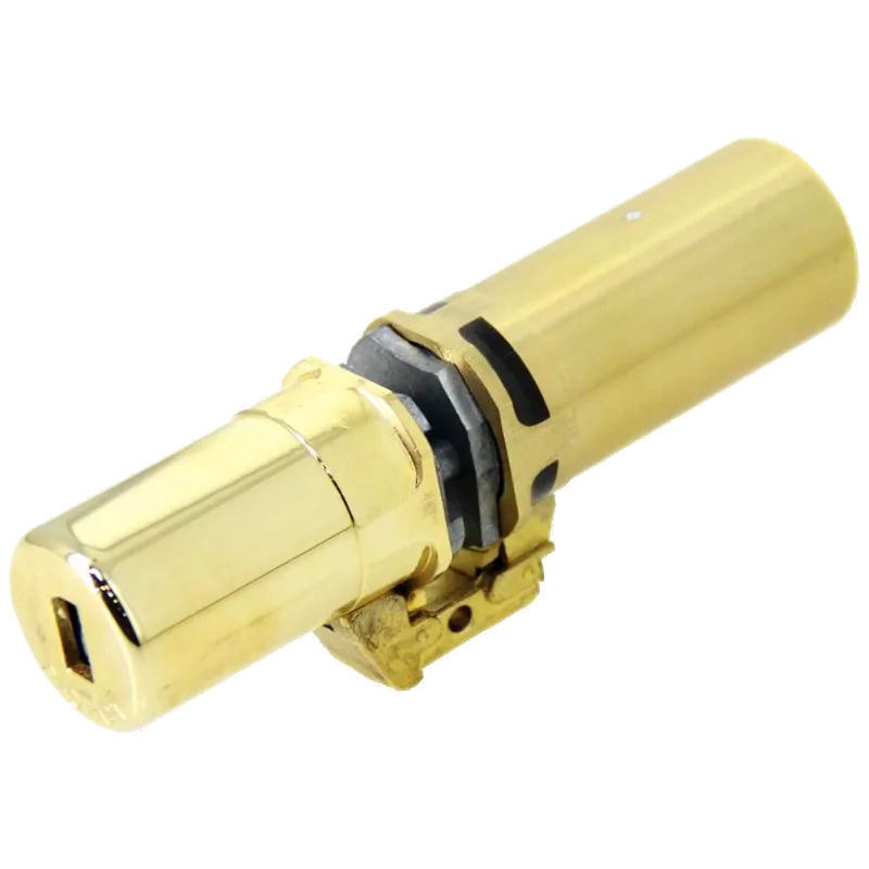 Fichet 787Z a2p1* monobloc cylinder