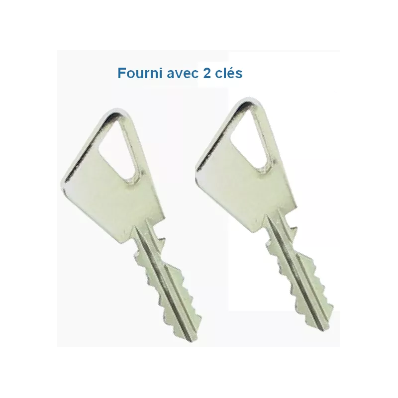 Cylindre Monobloc Fichet 666  pour serrure à larder