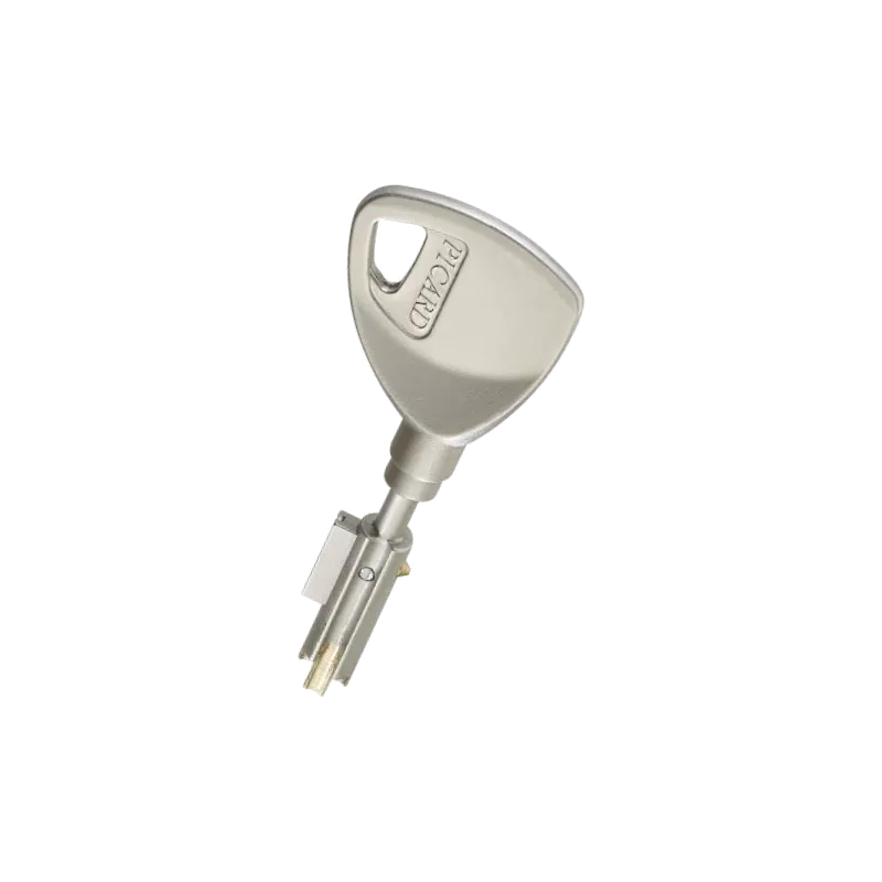 Picard Vigie Mobile Duplicate Key