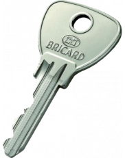 Bricard Alpha pass key duplicate