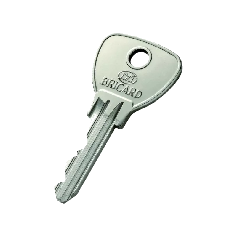 Bricard Alpha pass key duplicate