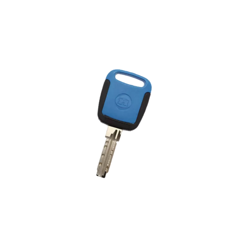 Bricard Serial/Serial S Bipass Key