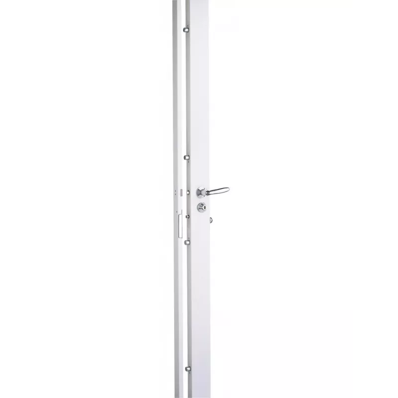Serrure Picard Serenis 700 A2P1* version 3 mètres
