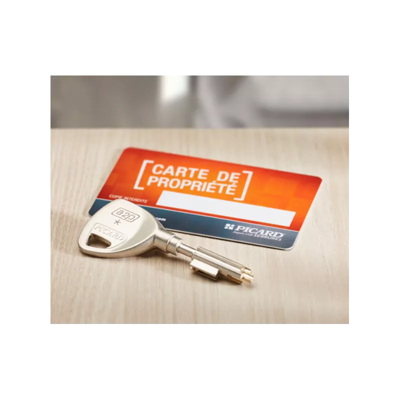 Picard Vigeco 6 points a2p1 lock