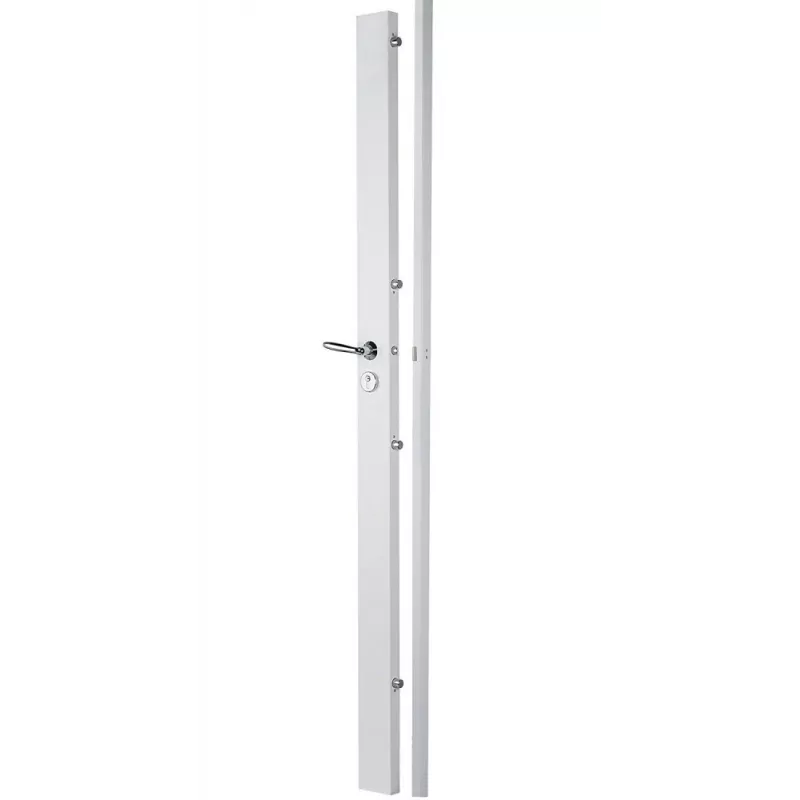 Serrure Picard Ermetis