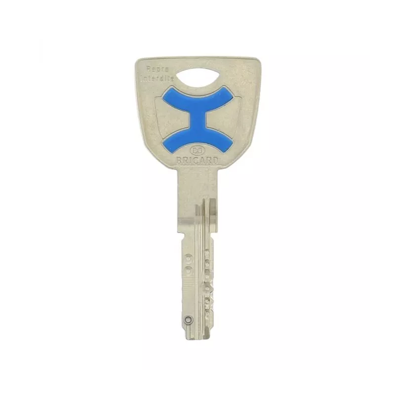 Cylindre Bricard Dual XP S2 pour serrure 8161