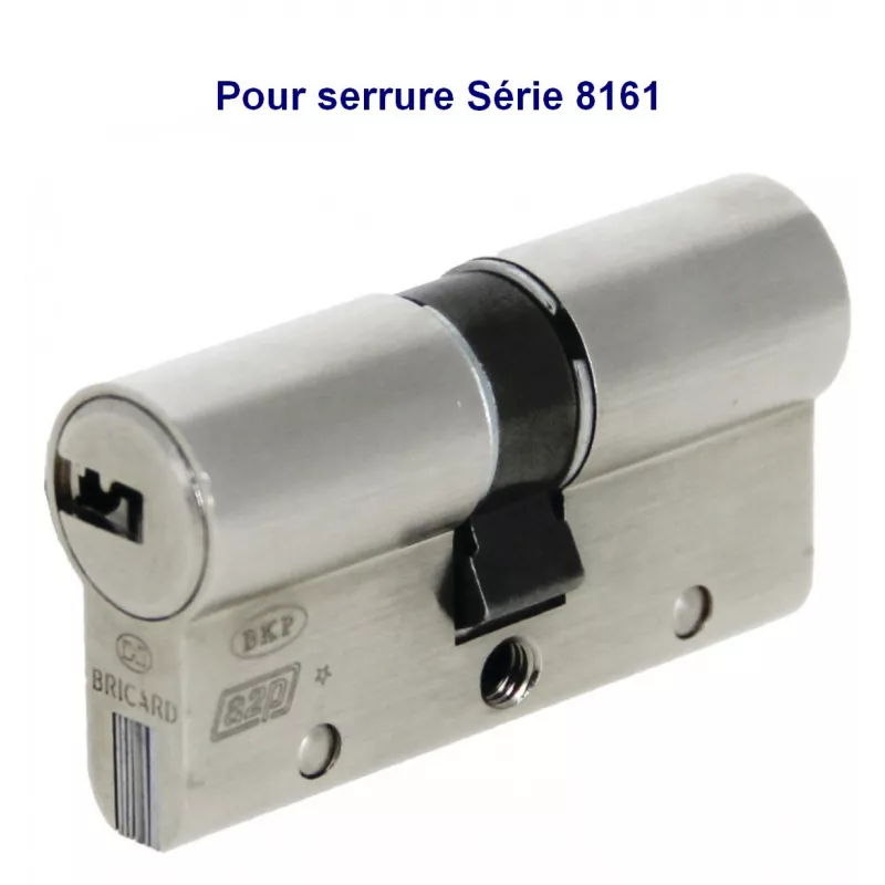Cylindre Bricard Serial S a2p 1 étoile pour serrure 8161
