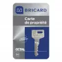 Bricard Octal a2p1 for 8161 lock