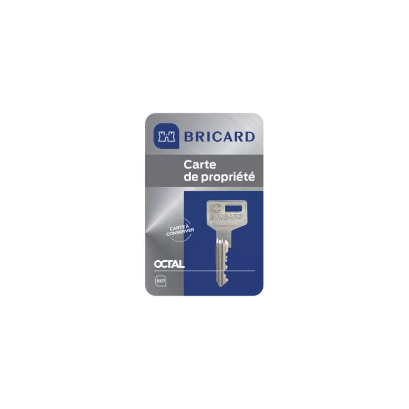 Cylindre Bricard Octal A2P 1 étoile pour serrure 8161