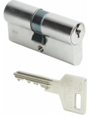 Bricard Octal a2p1 for 8161 lock