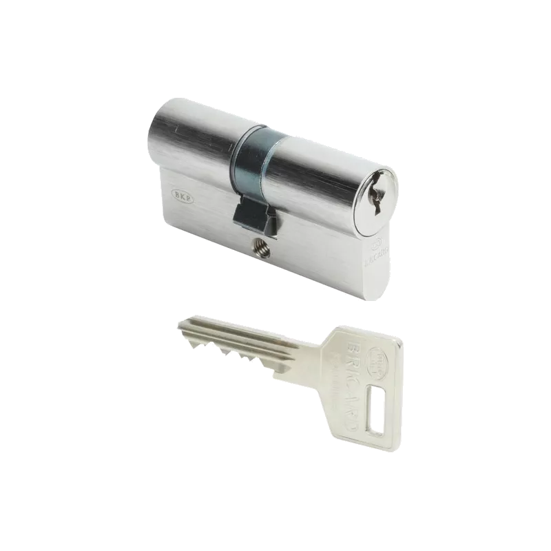 Cylindre Bricard Octal A2P 1 étoile pour serrure 8161