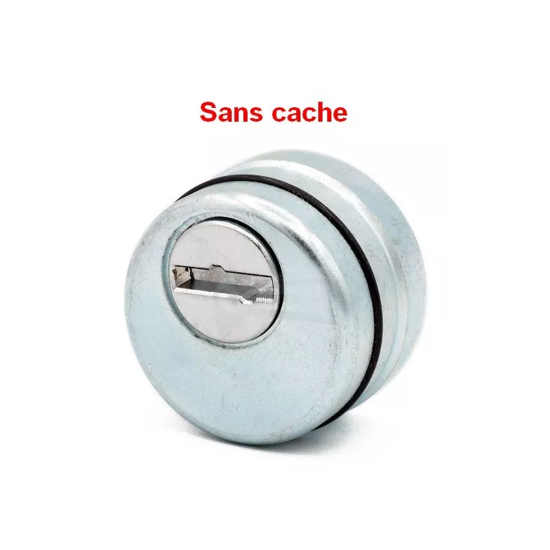 Cylinder protector Dierre for door Asso and New Asso