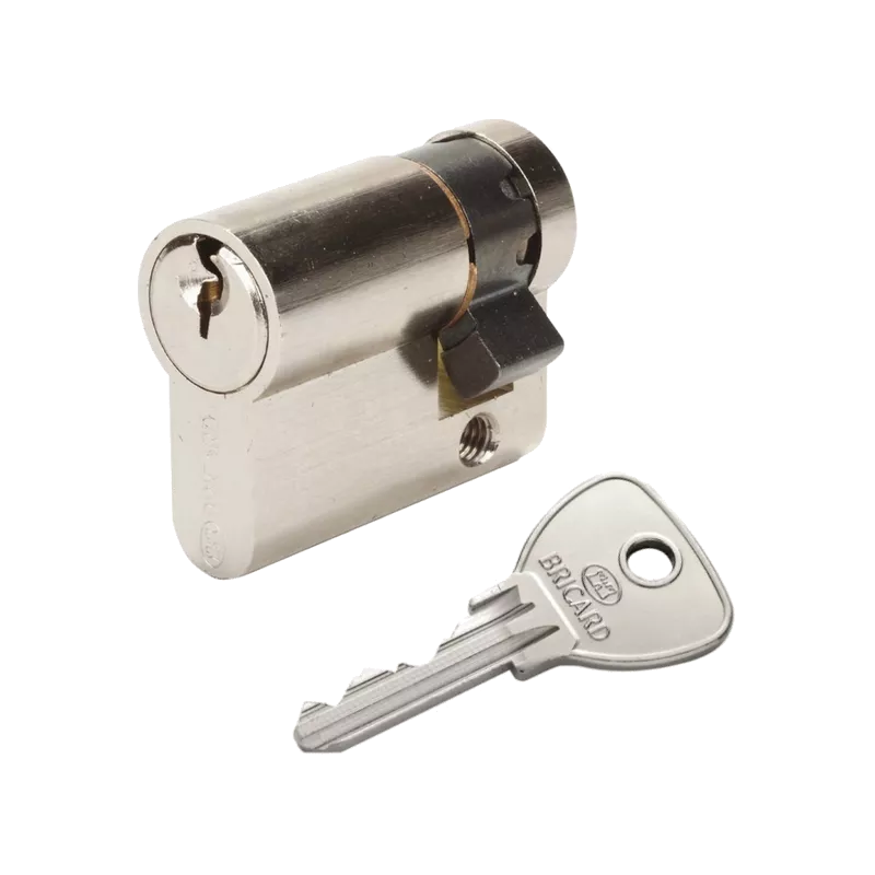 Bricard Alpha half cylinder