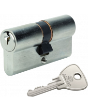 Bricard Alpha cylinder