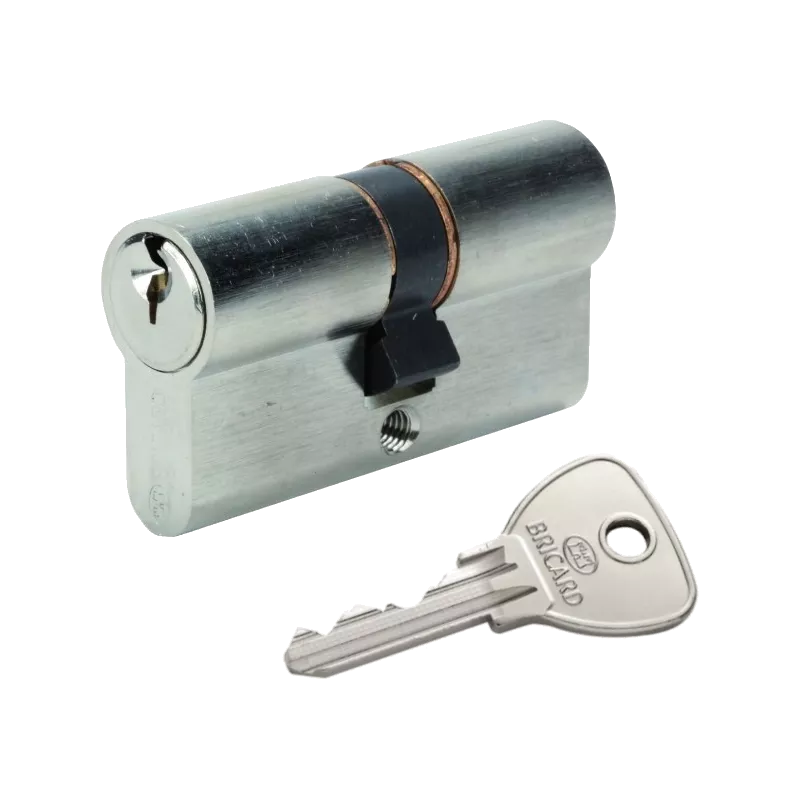 Bricard Alpha cylinder