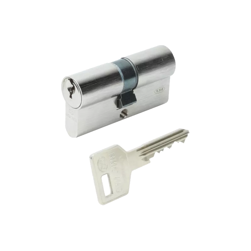 Cylindre Bricard Octal double entrées