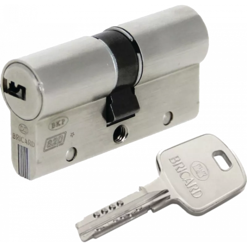 Bricard Serial XP a2p1 cylinder for 8161 lock