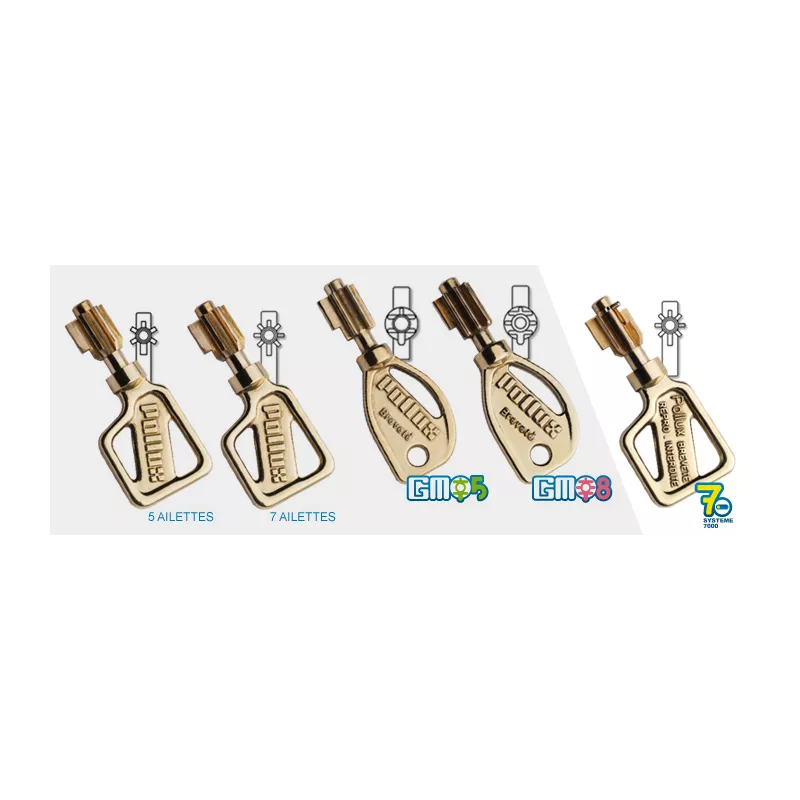 Pollux 7000 Duplicate Key