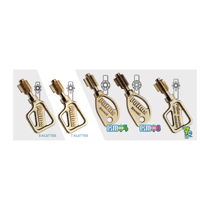 Pollux 7 fins Duplicate Key