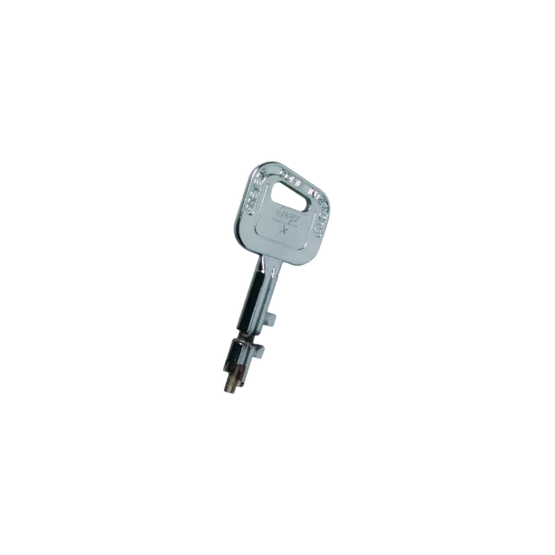Metalux Vigie Key