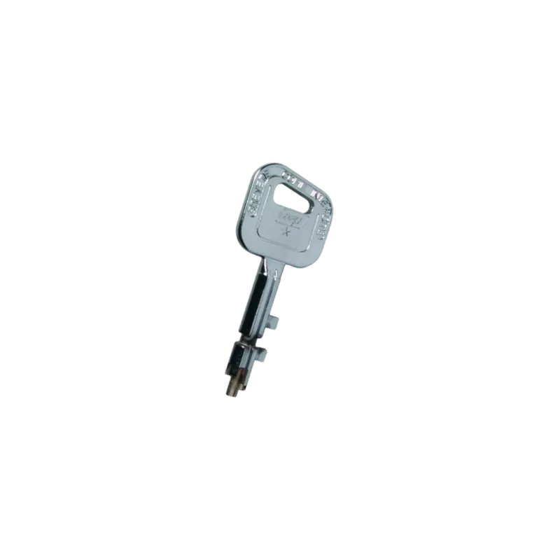 Metalux Vigie Duplicate Key