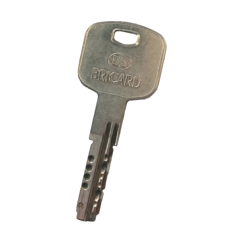 Bricard Mistral S Key duplicate