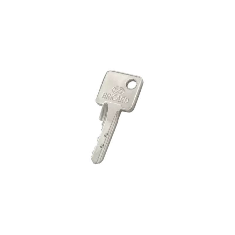 Bricard Boréal Duplicate key