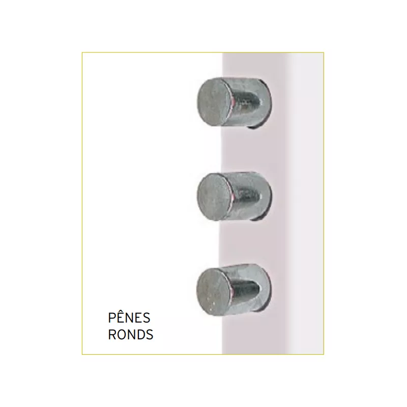 Fichet Alicea Slim lock with european cylinder