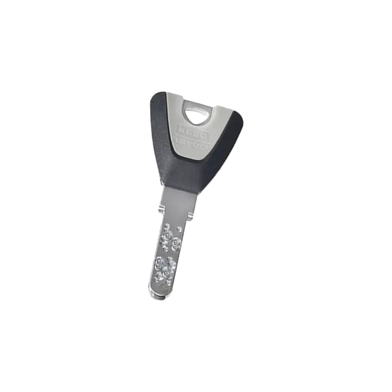 JPM Keso 4000S Omega Key duplicate