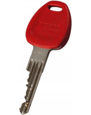 Duplicate Picard Vigila key