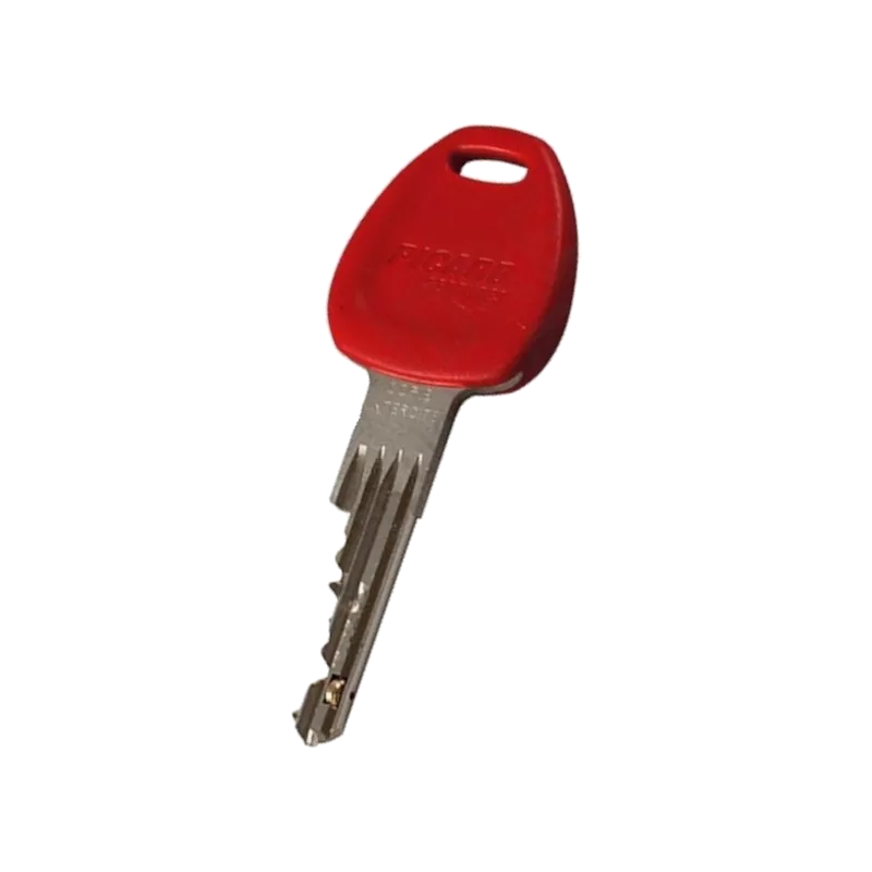 Duplicate Picard Vigila key