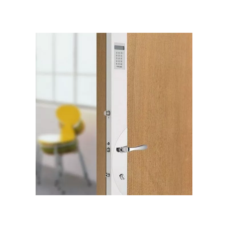 Electric lock Picard Parade 2