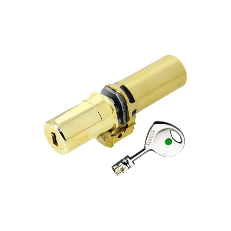 Fichet 787 Z A2P3 monobloc cylinder for forges P105 armored door