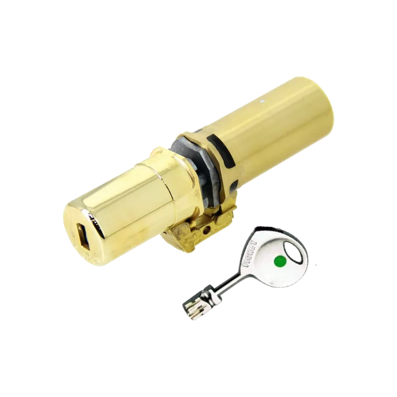 Fichet 787Z a2p1* monobloc cylinder